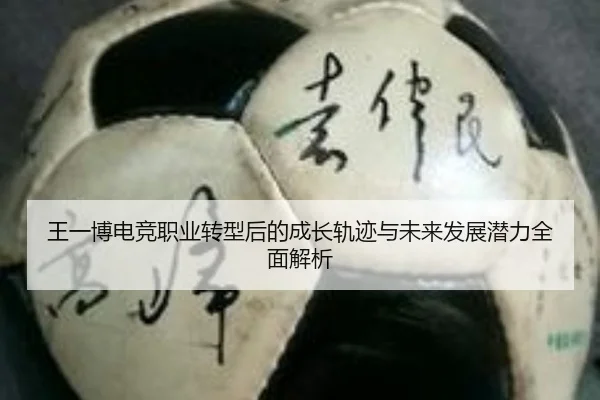 王一博电竞职业转型后的成长轨迹与未来发展潜力全面解析